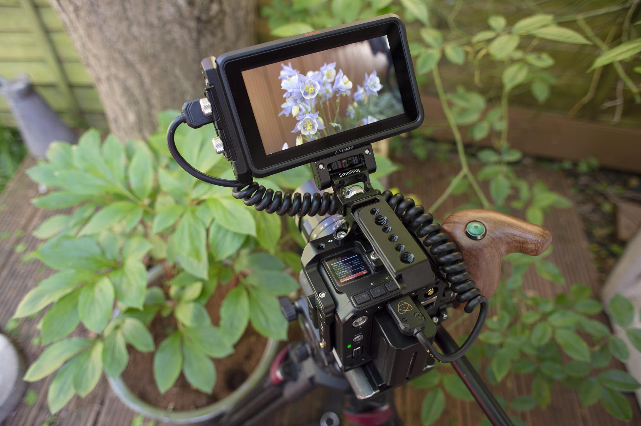 Atomos is working on a Ninja V update to bring 12-bit 4K/30p