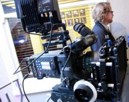Studio-w-Hawk_Anamorphic