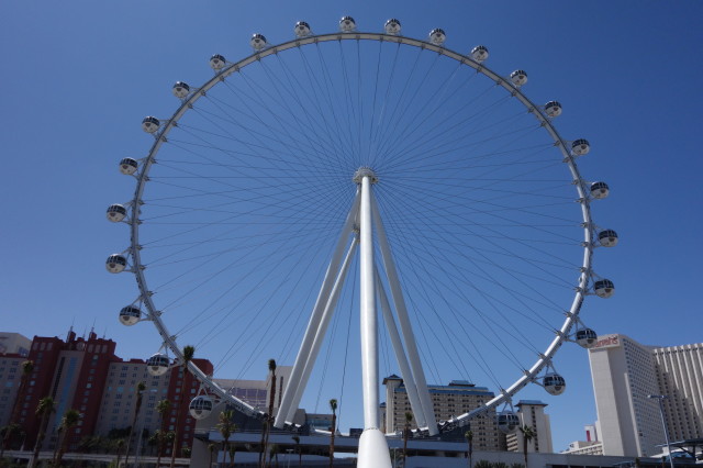 DSC04987 High Roller Ride, 40 pax per Gondola