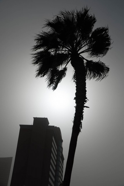 A Las Vegas Dust Storm on the second day of NAB 2015 blots the sun.