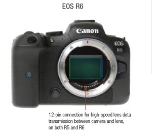 Canon EOS R6 Mark II Mirrorless Camera - Filmtools