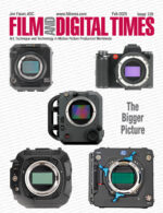 Issue Details